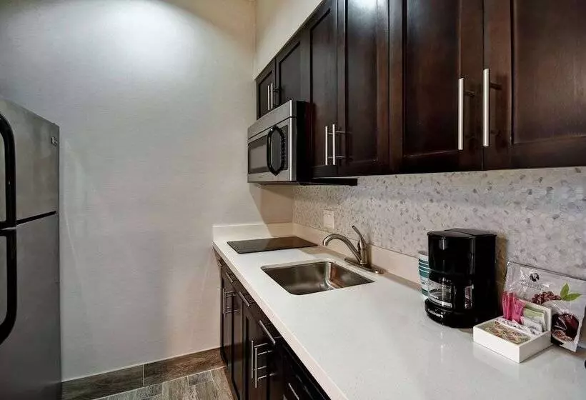 スイート, Homewood Suites By Hilton Dallas Arlington South