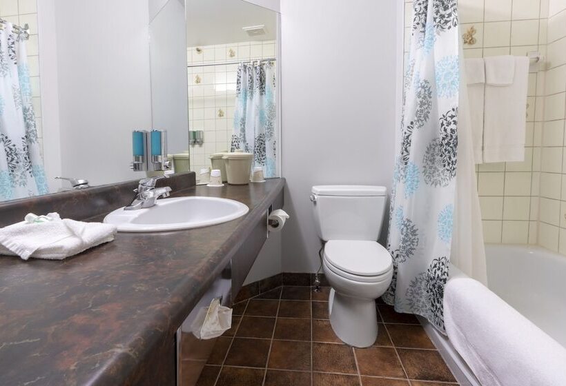 اتاق اکونومی با تخت دوبل, Quebec Inn