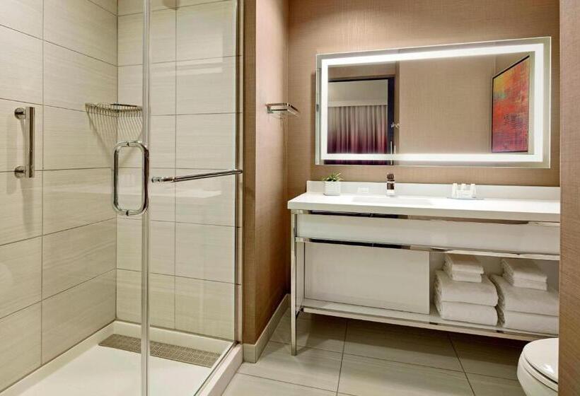 带大床的套房, Residence Inn By Marriott At Anaheim Resort/convention Center