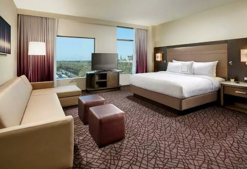 Deluxe-studio, Residence Inn By Marriott At Anaheim Resort/convention Center