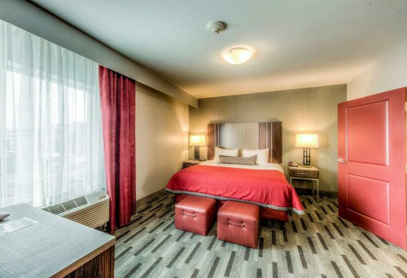Номер Стандарт Кровать Кинг Адаптированный для Инвалидов, Staybridge Suites   University Area Osu, An Ihg