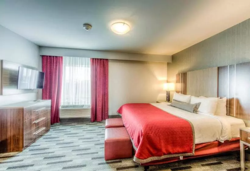 スタンダードルーム, Staybridge Suites   University Area Osu, An Ihg