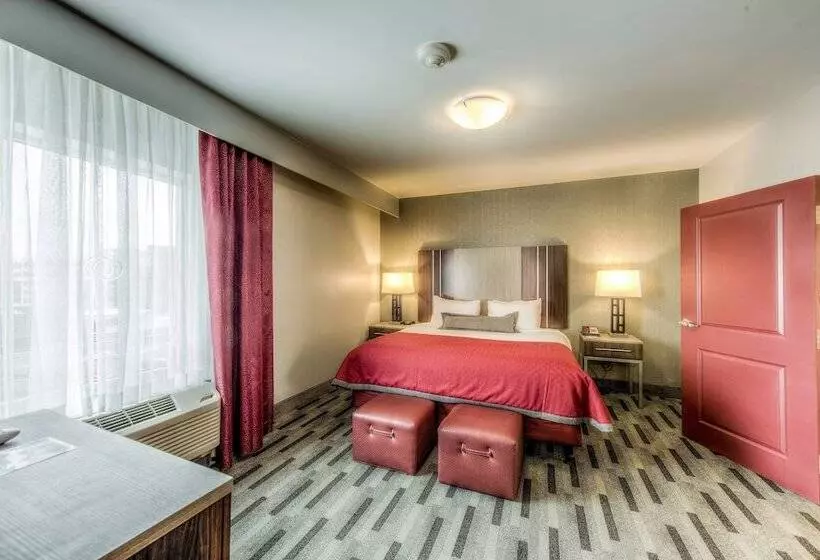 ダブルベッドのスタンダードスタジオ, Staybridge Suites   University Area Osu, An Ihg