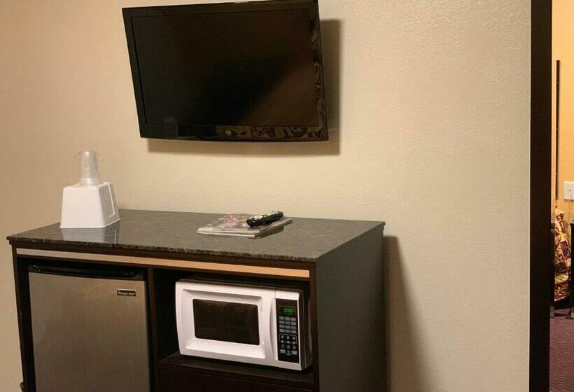 스탠다드 룸 킹사이즈 침대, Seaview Inn Grover Beach