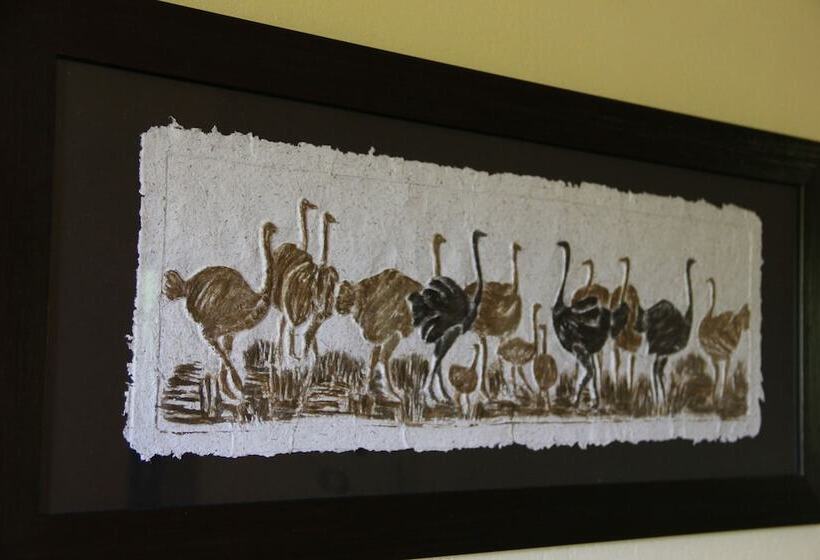 اتاق سوپریور, Gumtree Guest House