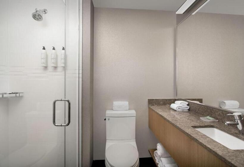 سوئیت با تخت بزرگ, Springhill Suites By Marriott New York Queens