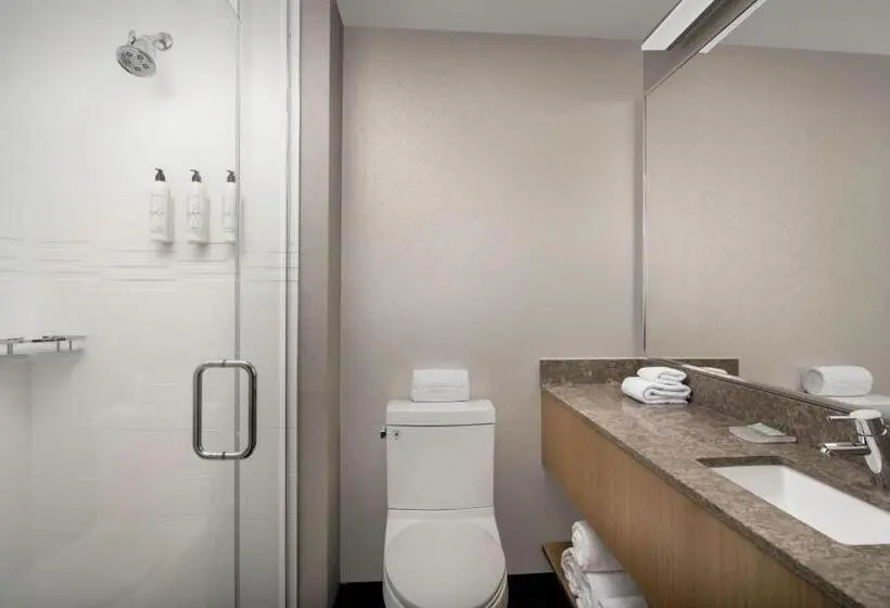 Sviitti King-vuode, Springhill Suites By Marriott New York Queens