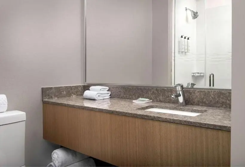 Sviitti Kaupungin Näkemystä, Springhill Suites By Marriott New York Queens