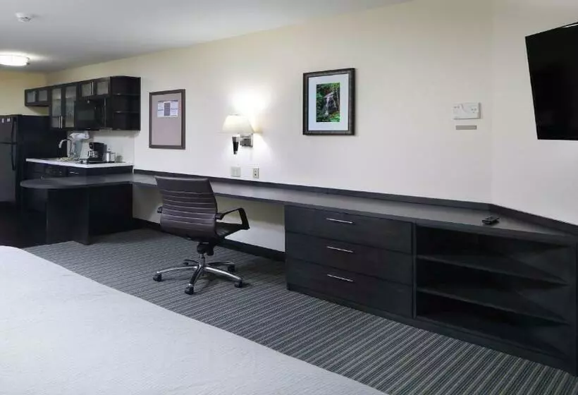 キングサイドベッドのスタンダードワンルーム, Candlewood Suites   Newark South   University Area, An Ihg