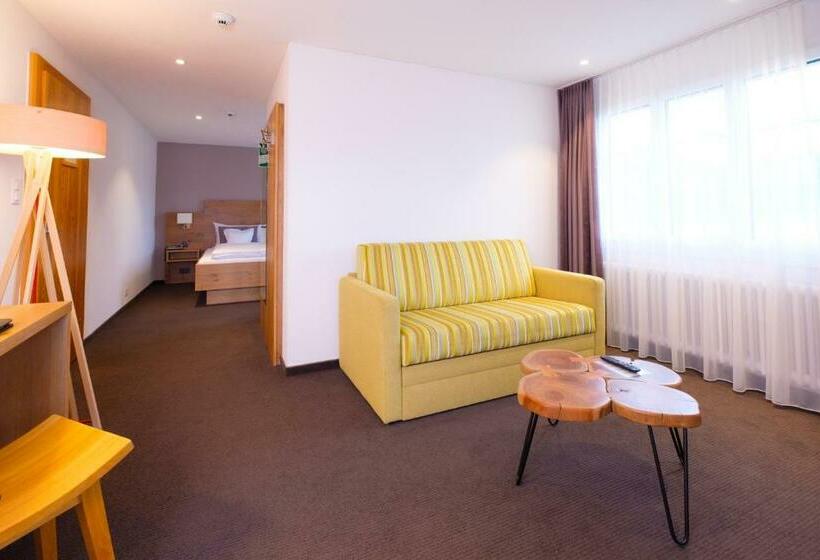 غرفة سوبيريور, Friedheim