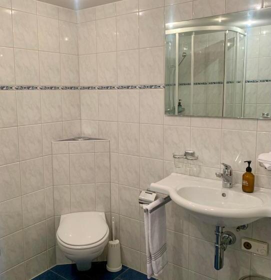 غرفة قياسية, Friedheim