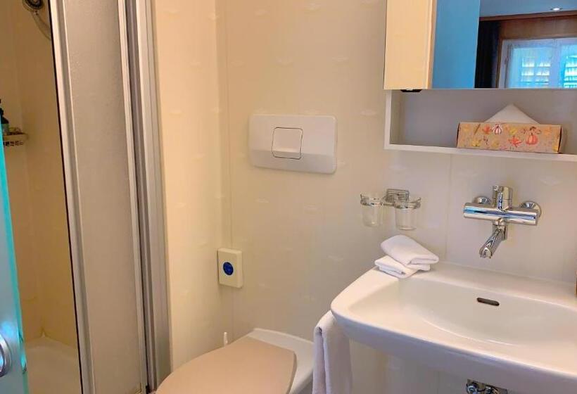 غرفة إقتصادية, Friedheim