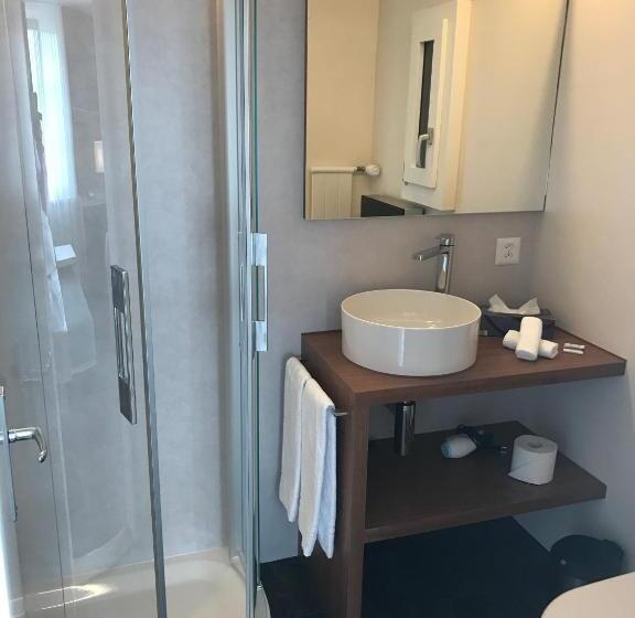 غرفة قياسية مزوَّدة بشُرفة, Friedheim