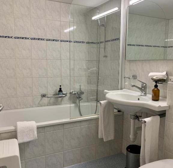 غرفة إقتصادية, Friedheim