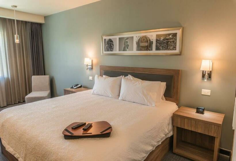 غرفة قياسية سرير كينج لذوى الإحتياجات الخاصة, Hampton Inn & Suites By Hilton Salamanca Bajio