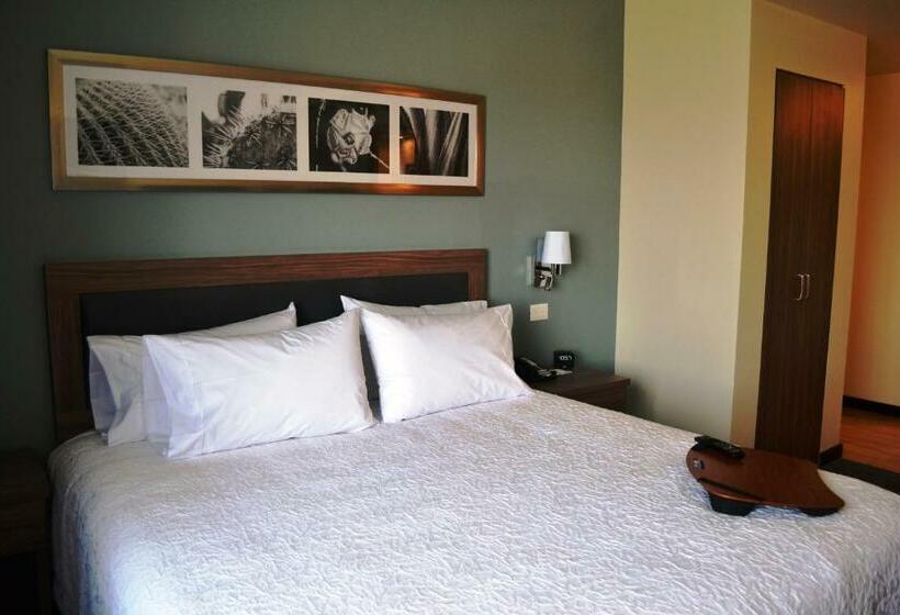 غرفة قياسية سرير كينج لذوى الإحتياجات الخاصة, Hampton Inn & Suites By Hilton Salamanca Bajio