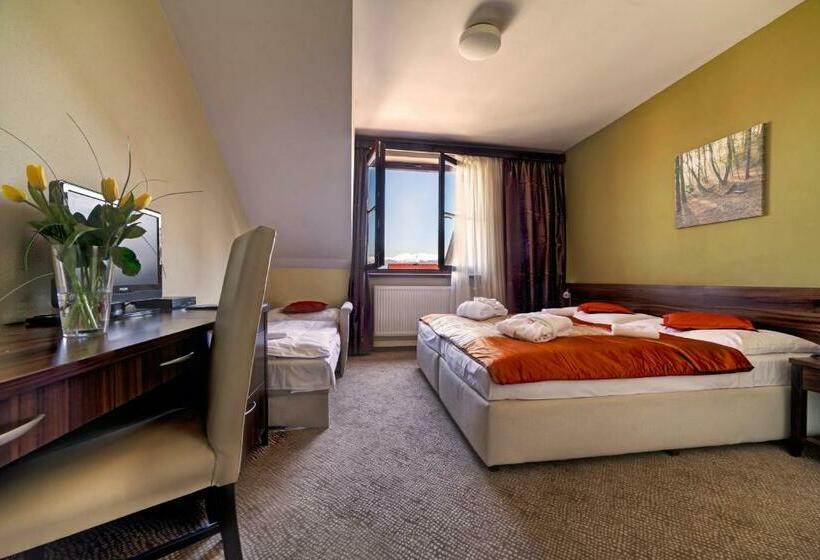 스탠다드 룸, Penzion Drak