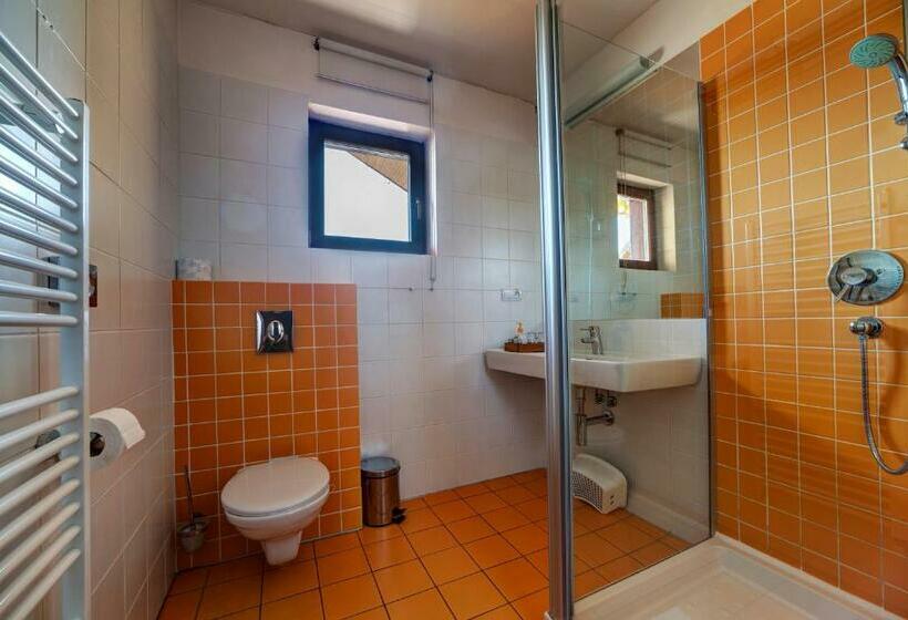 스탠다드 룸, Penzion Drak