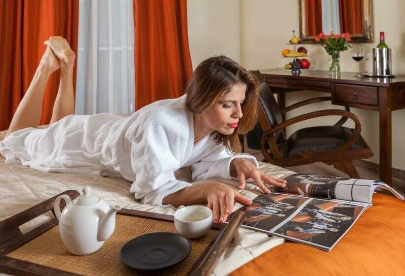 스탠다드 룸, Penzion Drak