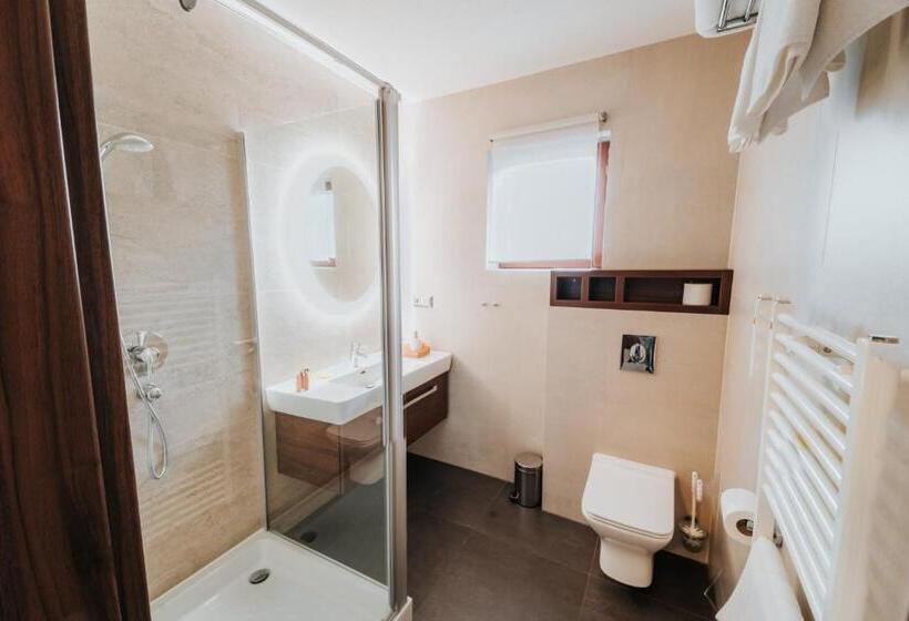 스탠다드 룸, Penzion Drak