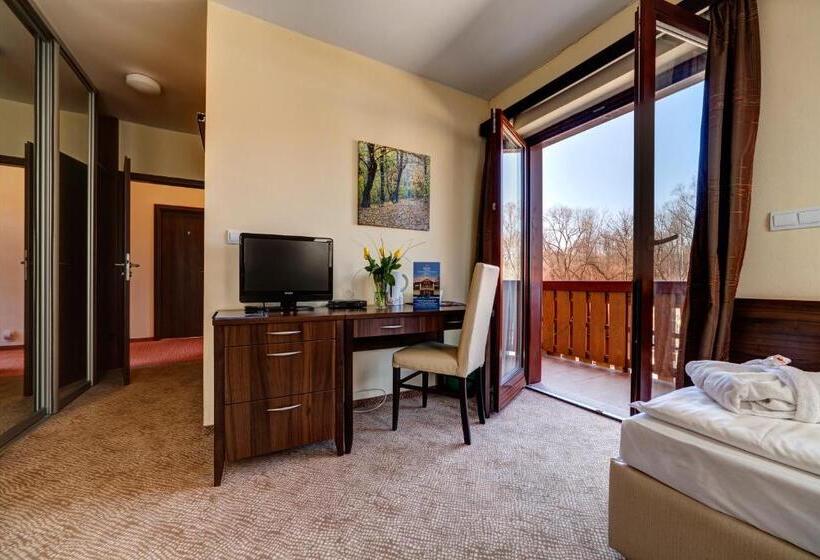 스탠다드 룸, Penzion Drak