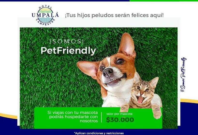 스탠다드 룸, Campestre Umpala