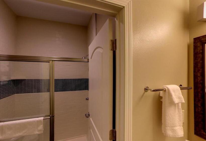 身障者適用スイートルーム, Staybridge Suites Ann Arbor Research Parkway, An Ihg