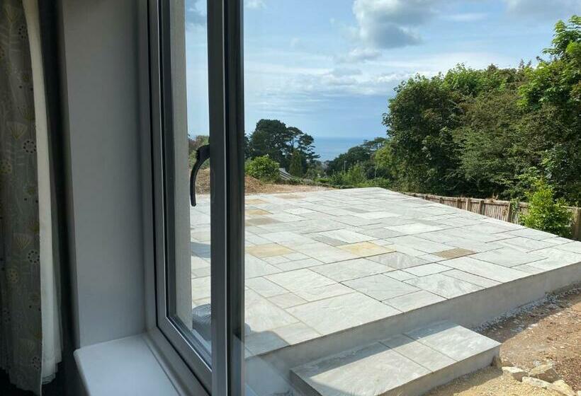 غرفة قياسية مطلّة علي الحديقة, Conifers