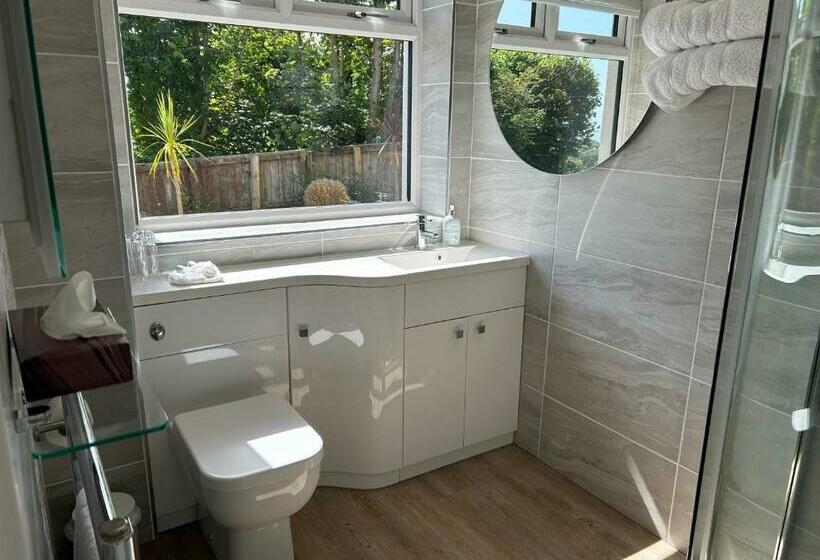 غرفة قياسية مطلّة علي الحديقة, Conifers