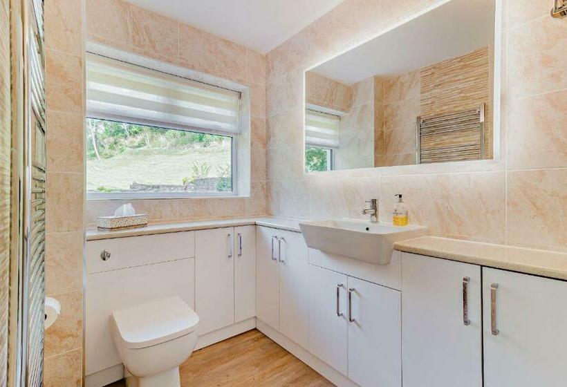 غرفة قياسية مطلّة علي الحديقة, Conifers