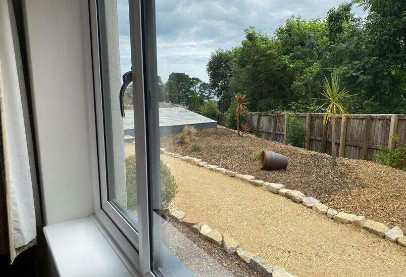 غرفة قياسية مطلّة علي الحديقة, Conifers