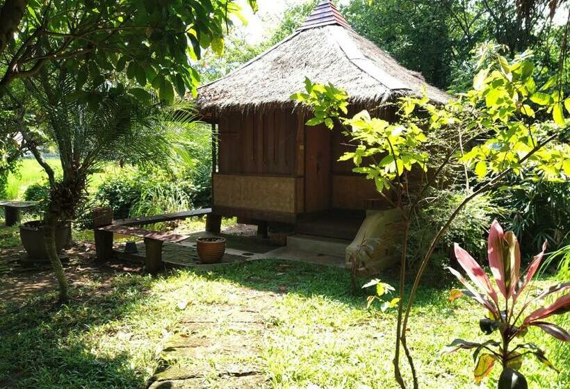 Quarto Deluxe Individual, Buzzas @ Pai Chan