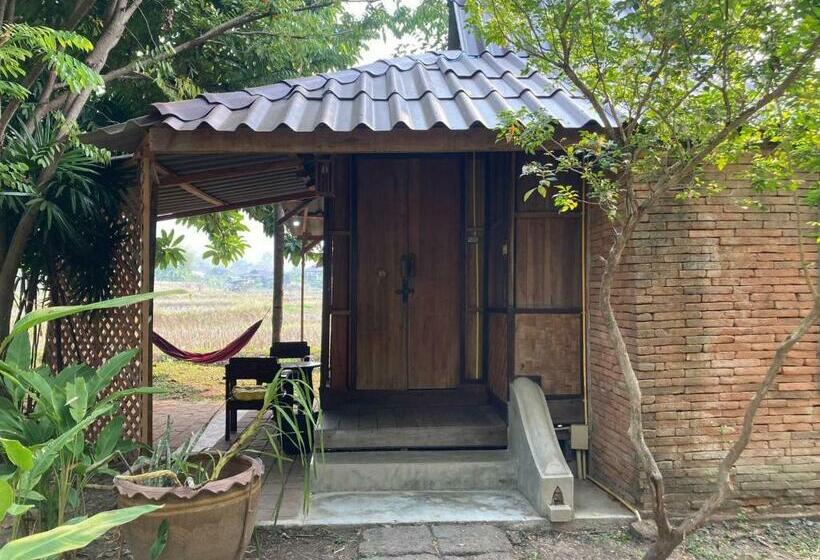 Bungalow Deluxe, Buzzas @ Pai Chan