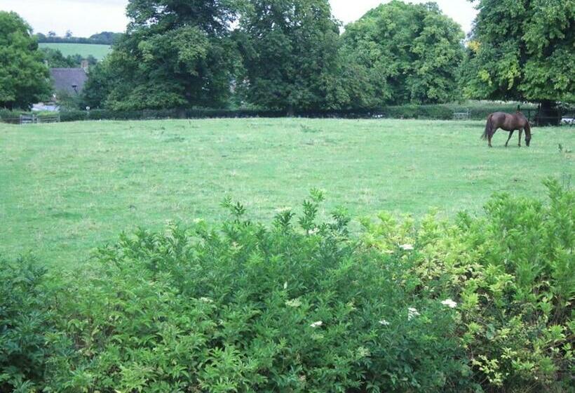 غرفة قياسية فردية حمام مشترك, Stone House