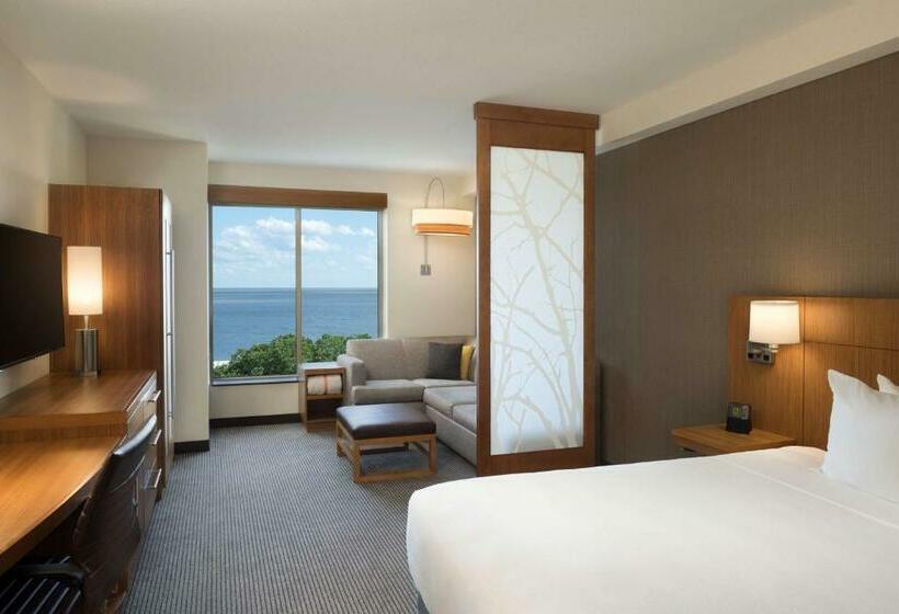 غرفة قياسية سرير كينج, Hyatt Place Biloxi