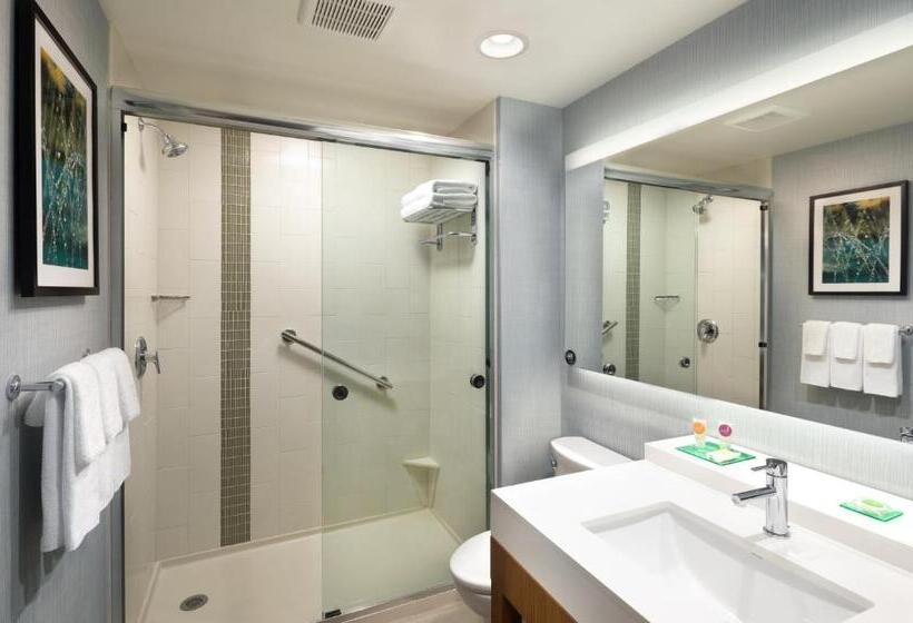 Номер Стандарт, Hyatt Place Biloxi