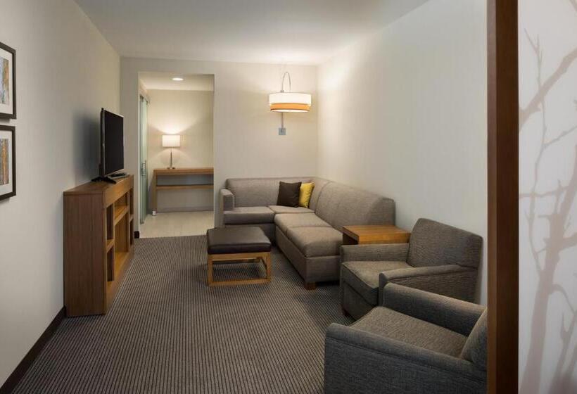 Стандартный Номер Кровать Кинг, Hyatt Place Biloxi