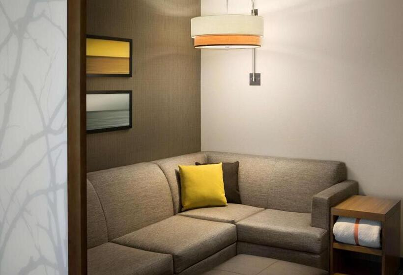 Номер Стандарт Кровать Кинг Адаптированный для Инвалидов, Hyatt Place Biloxi