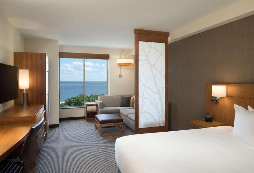 غرفة قياسية سرير كينج لذوى الإحتياجات الخاصة, Hyatt Place Biloxi