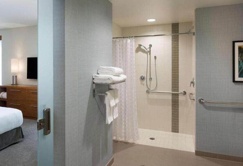 Номер Стандарт Кровать Кинг Адаптированный для Инвалидов, Hyatt Place Biloxi