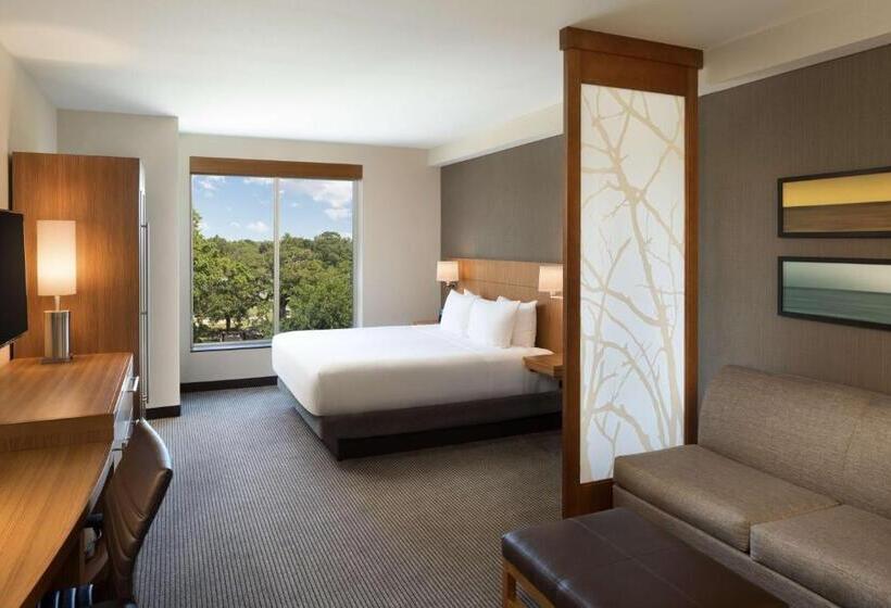 غرفة قياسية سرير كينج لذوى الإحتياجات الخاصة, Hyatt Place Biloxi