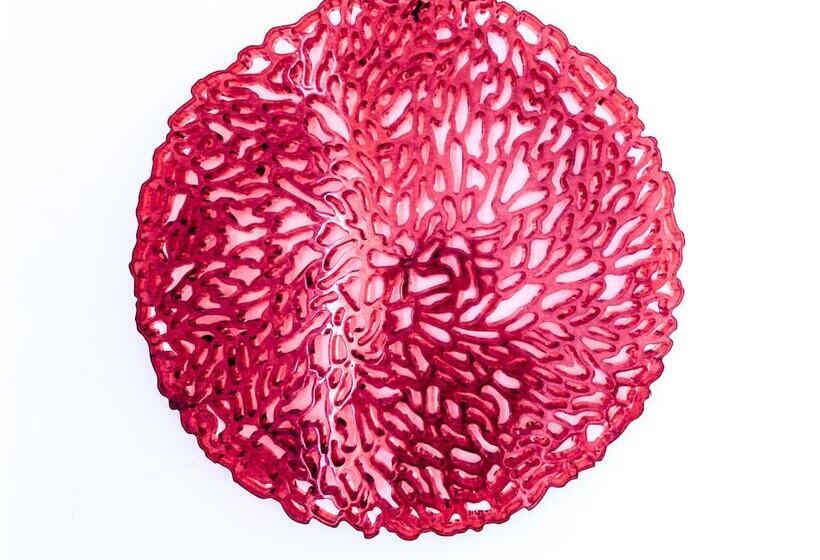 اتاق استاندارد یک نفره, Evora Inn