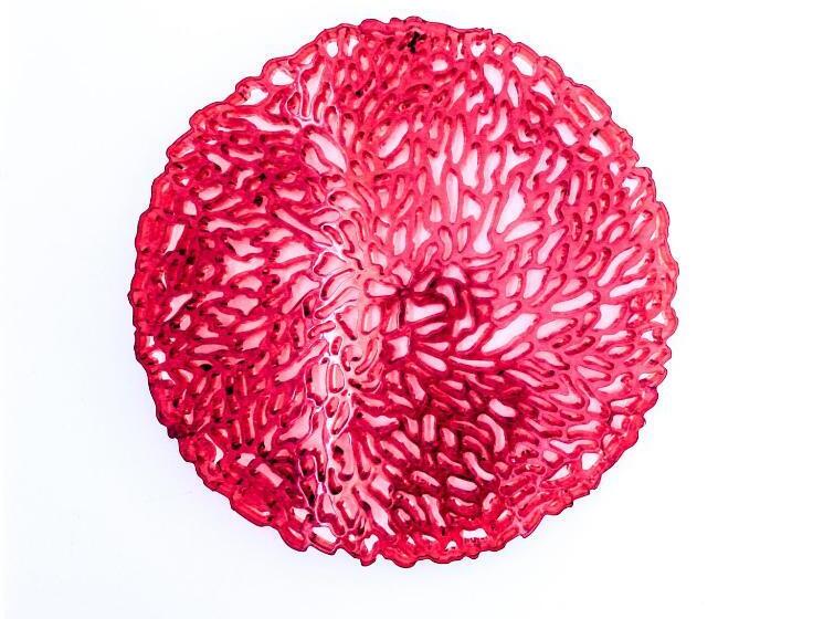 اتاق استاندارد یک نفره, Evora Inn