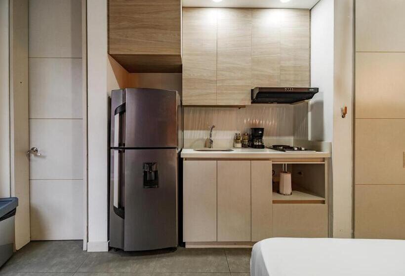 شقة غرفة واحدة, One Laureles