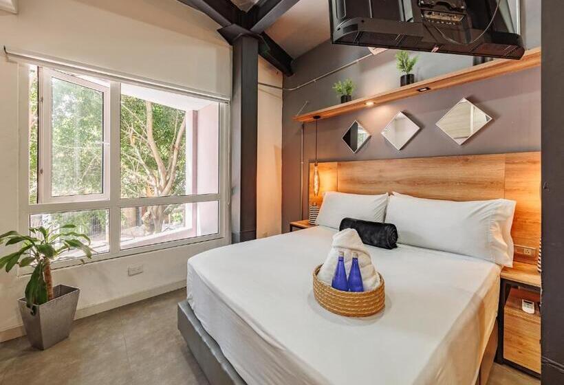 شقة غرفة واحدة, One Laureles