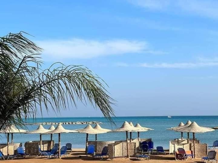 آپارتمان 1 خوابه, Turtles Beach Resort Hurghada Studio View Sea View Pool Private Beach Pools Anf Sunny Balcony