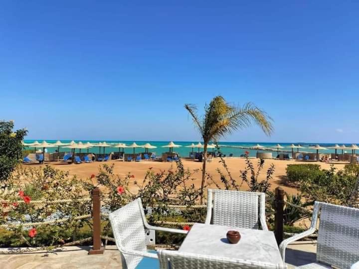 آپارتمان 1 خوابه, Turtles Beach Resort Hurghada Studio View Sea View Pool Private Beach Pools Anf Sunny Balcony