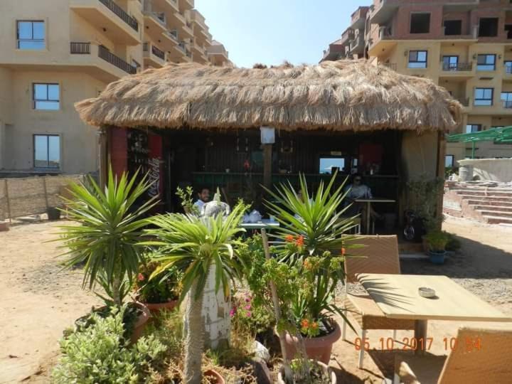 آپارتمان 1 خوابه, Turtles Beach Resort Hurghada Studio View Sea View Pool Private Beach Pools Anf Sunny Balcony