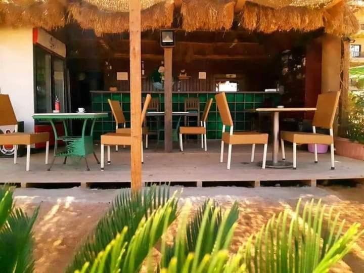 آپارتمان 1 خوابه, Turtles Beach Resort Hurghada Studio View Sea View Pool Private Beach Pools Anf Sunny Balcony