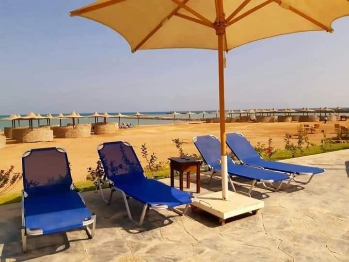 آپارتمان 1 خوابه, Turtles Beach Resort Hurghada Studio View Sea View Pool Private Beach Pools Anf Sunny Balcony